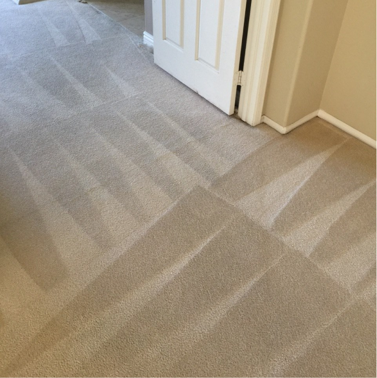 An image of beige carpet after an HWE Carpet cleaning